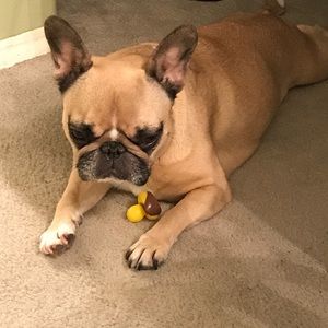 Meet your Posher, Judi